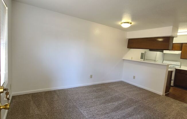 1 bed, 1 bath, 451 sqft, $900