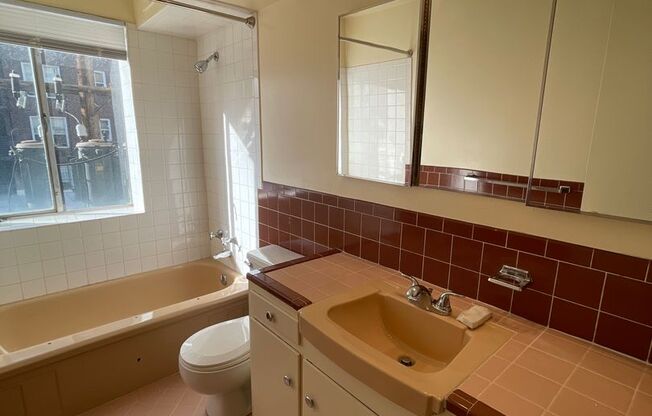 1 bed, 1 bath, 605 sqft, $995, Unit 410