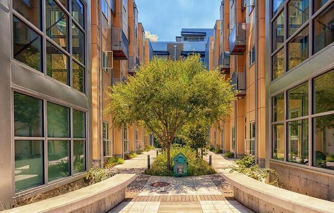 a tree in the middle of a building