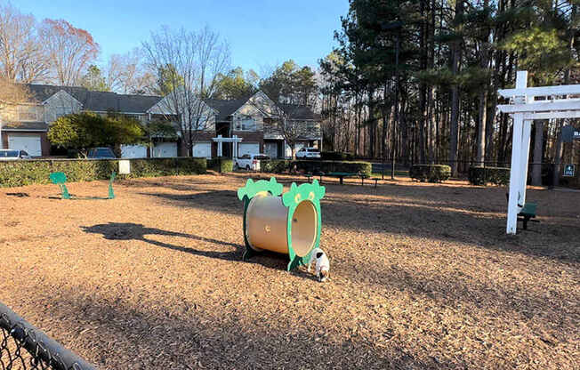 Fenced dog park with agility equipment