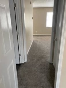 a hallway with a carpeted floor and a white door