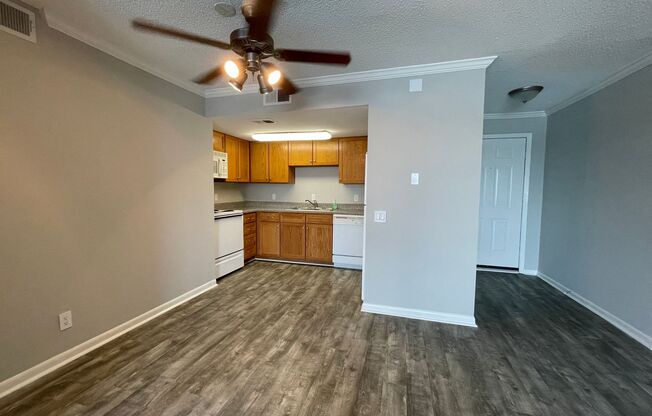 1 bed, 1 bath, $1,175, Unit #207