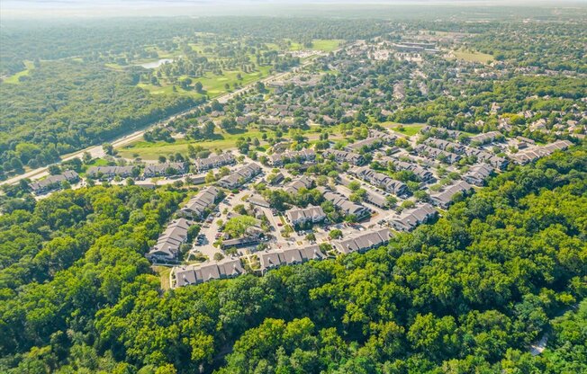 an aerial view of a neighborhood surrounded by trees