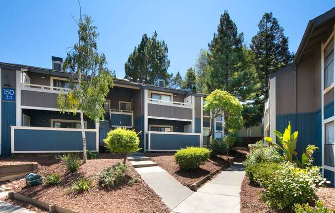 Green Landscaping at Maris at Martinez