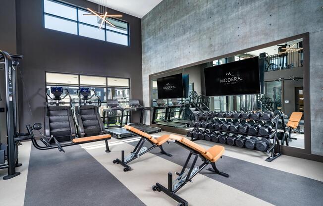 A bright, open fitness studio with cardio, strength training, and room to move.