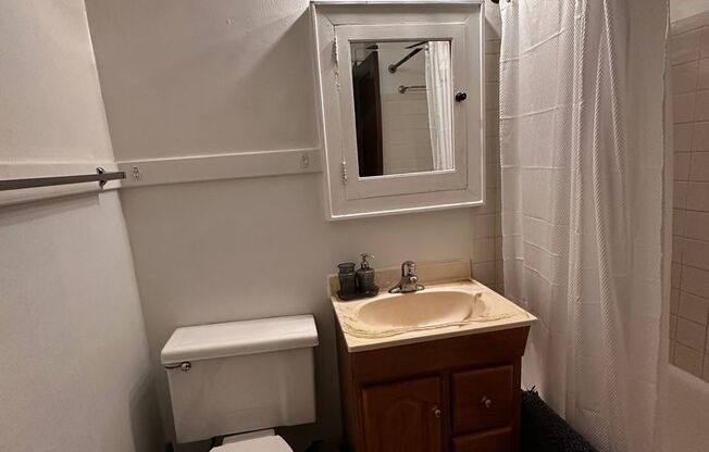 Studio, 1 bath, 429 sqft, $1,300, Unit Unit 207