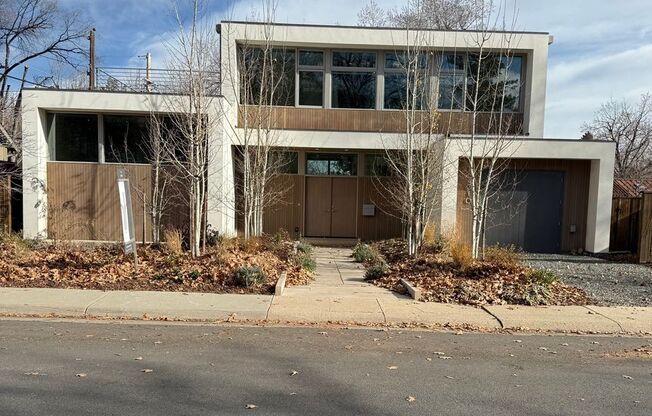 Silver Maple Stunning