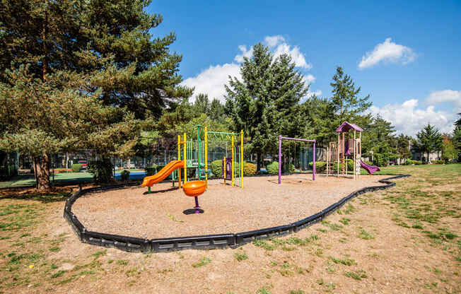 Kent Apartments - Signature Pointe Apartment Homes - Playground