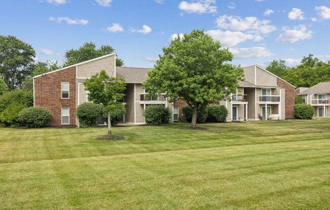 our apartments at the district feature a large lawn