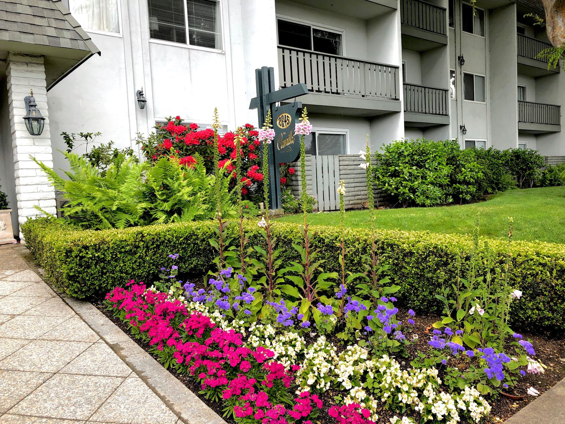 Mountain View - The Camille Apts - Close to San Antonio Center, Caltrain, Stanford