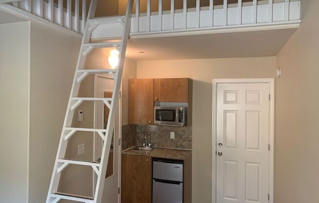 Studio, 1 bath, 217 sqft, $1,450, Unit 3F