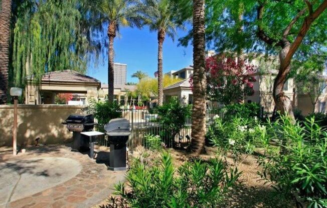 1 bed, 1 bath, $1,250