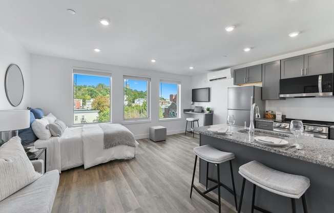 Studio, 1 bath, $1,750, Unit PH 702