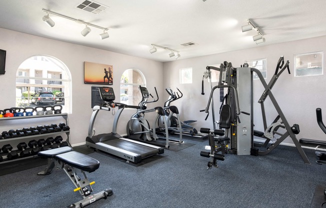 the gym is equipped with cardio equipment and weights