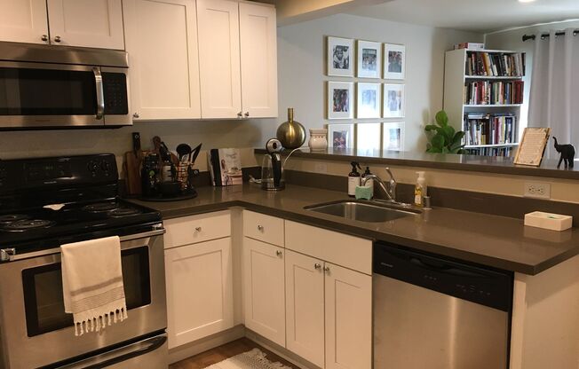 1 bed, 1 bath, 575 sqft, $1,450, Unit 003