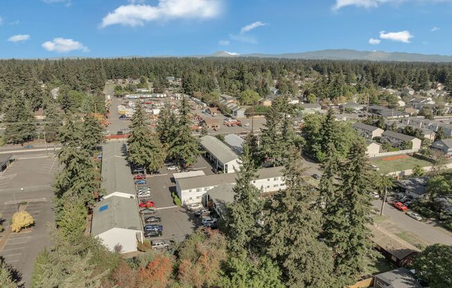 1 bed, 1 bath, 620 sqft, $1,250, Unit 29