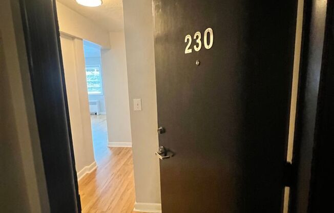 1 bed, 1 bath, 609 sqft, $1,450, Unit 230