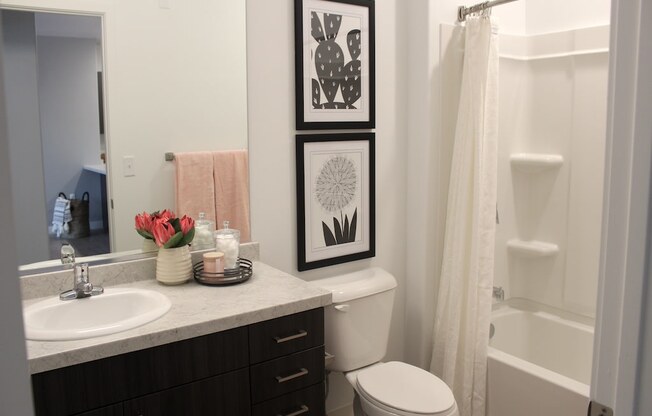 Bright Bathroom at Arcadia Apartments