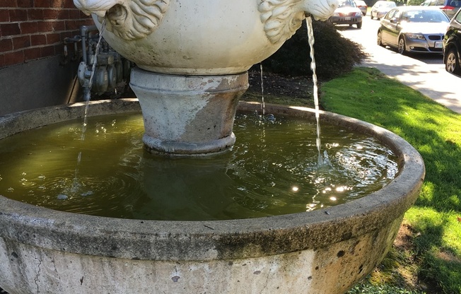 1 bed, 1 bath, 550 sqft, $1,499, Unit 5665-1