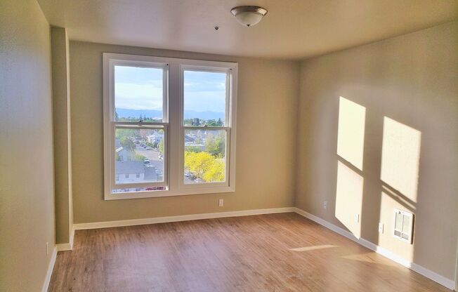 1 bed, 1 bath, 456 sqft, $1,350, Unit 311