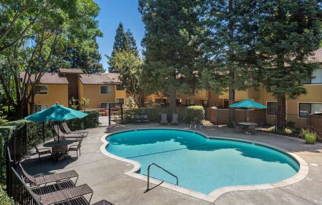 our apartments have a large swimming pool and a patio with umbrellas