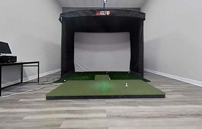A room with a green artificial turf and a black screen.