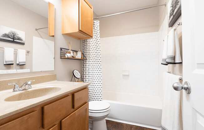 a bathroom with a toilet sink and shower and a tub