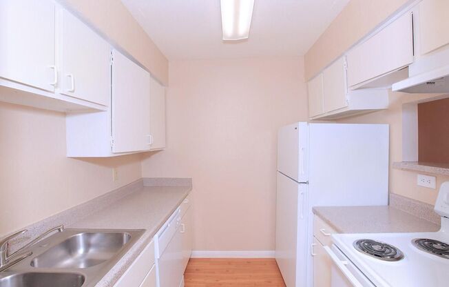 1 bed, 1 bath, 575 sqft, $902