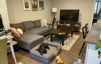 Lakeview Apartments!