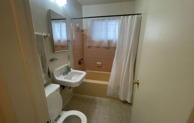 Studio, 1 bath, 450 sqft, $1,595, Unit Unit 5