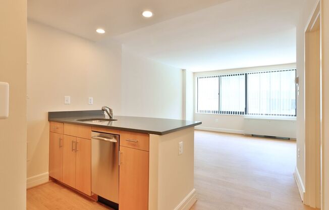 Studio, 1 bath, 440 sqft, $2,300, Unit 0215