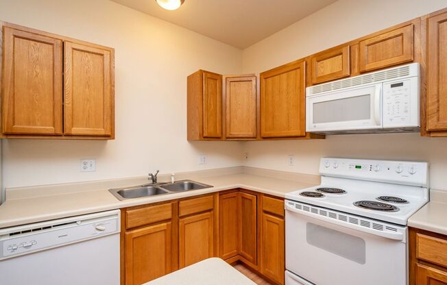 1 bed, 1 bath, 737 sqft, $1,420, Unit 3108