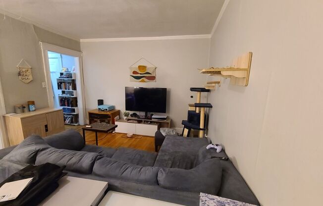 1 bed, 1 bath, $2,050