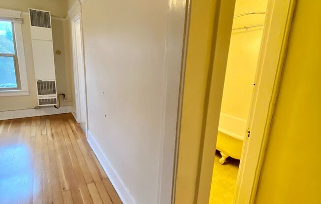 1 bed, 1 bath, 505 sqft, $1,495, Unit 15