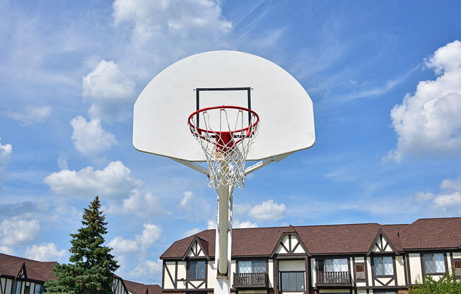 Basketball Court at Charter Oaks Apartments, Davison, Michigan