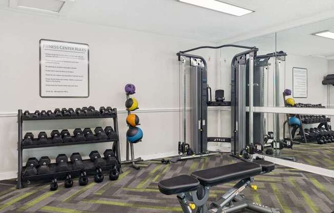 Fitness Center with Dumbbell Equipment