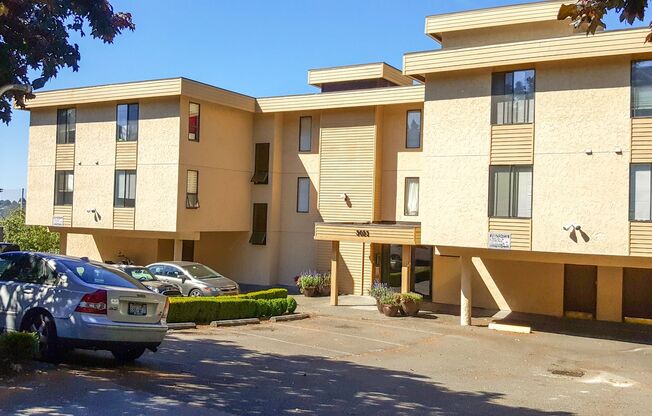 Cresswell Apartments