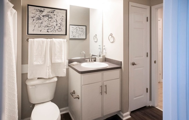 Bathroom with Vanity and Mirror at One Rocky Ridge Apartment, Georgia