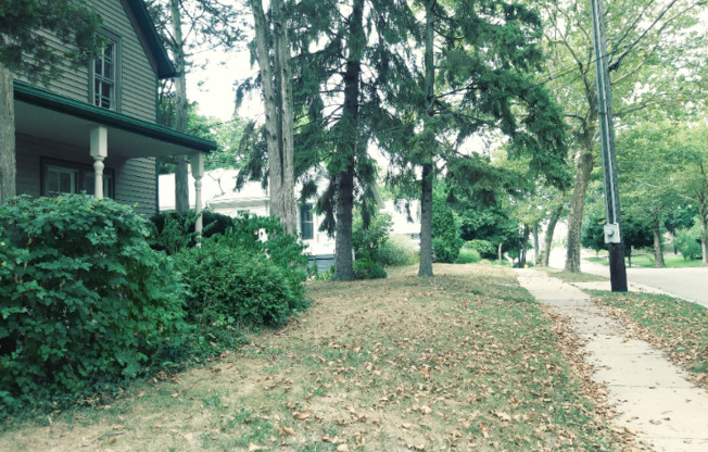 311 PLYMOUTH NE