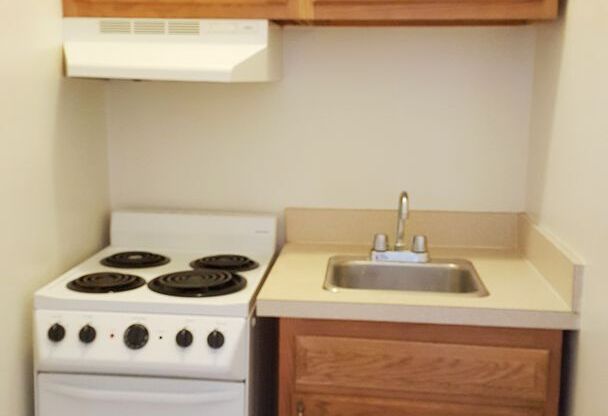 Studio, 1 bath, 240 sqft, $1,125, Unit 501