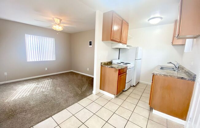 Euclid (Saulo Trust)