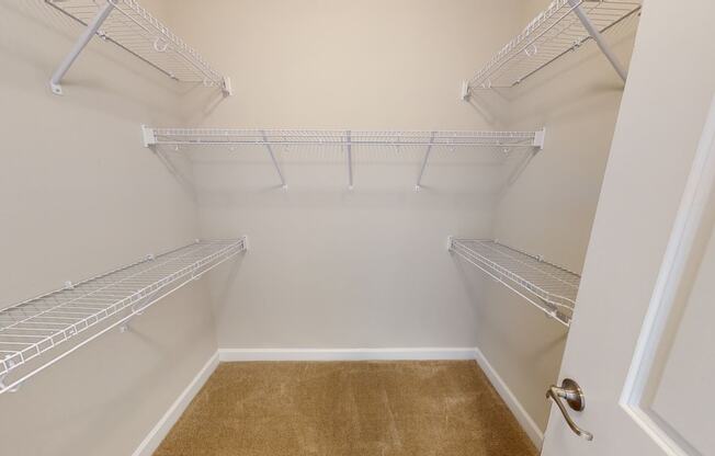 Walk-In Closet with multiple shelves