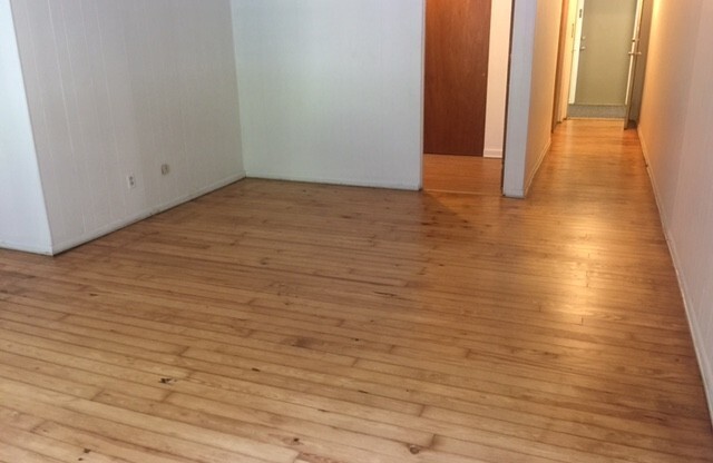 Studio, 1 bath, 487 sqft, $1,275, Unit Fifth 108