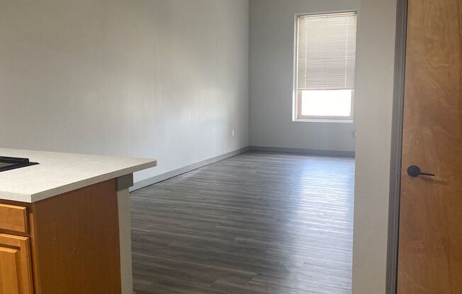 1 bed, 1 bath, 690 sqft, $1,325, Unit 602