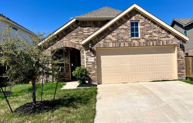 Executive One Story / Oaks at San Gabriel / Single Story / Georgetown Texas
