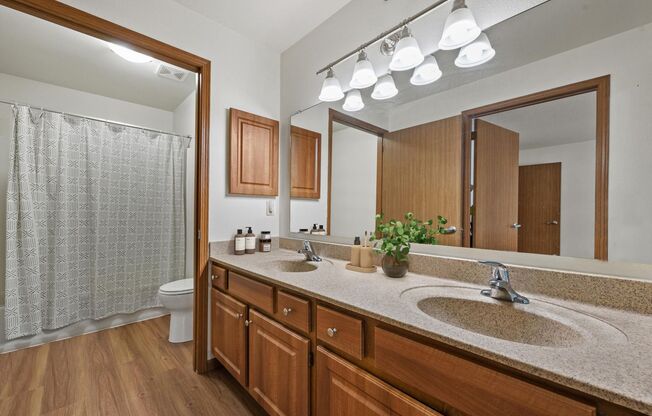 2 beds, 2 baths, 1,250 sqft, $1,765, Unit 202