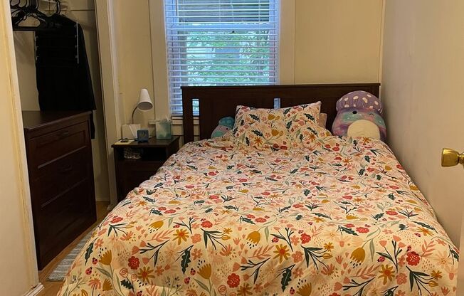 2 beds, 1 bath, $1,195, Unit 712 W Illinois #2