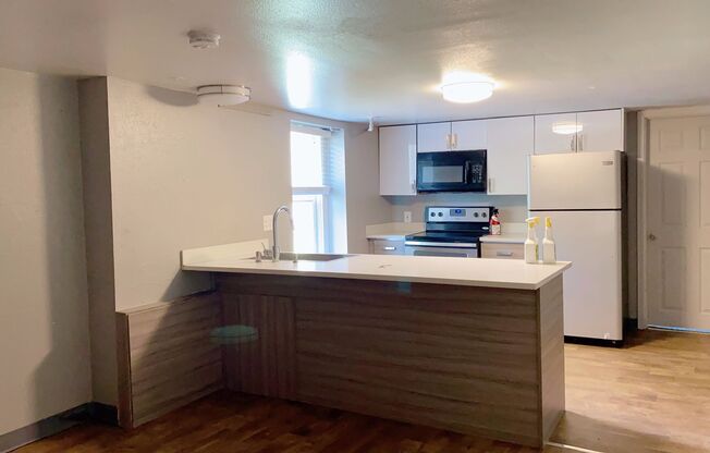 Rental -- Queen Anne