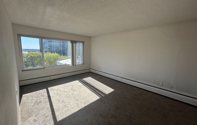 1 bed, 1 bath, 625 sqft, $1,400, Unit 407