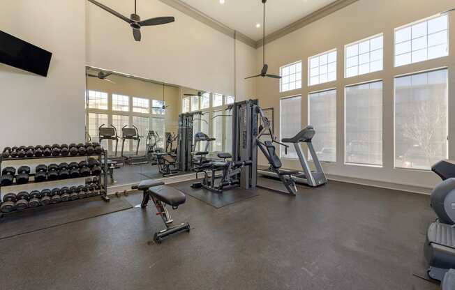 Modern Gym with Free Weights at Echo Ridge